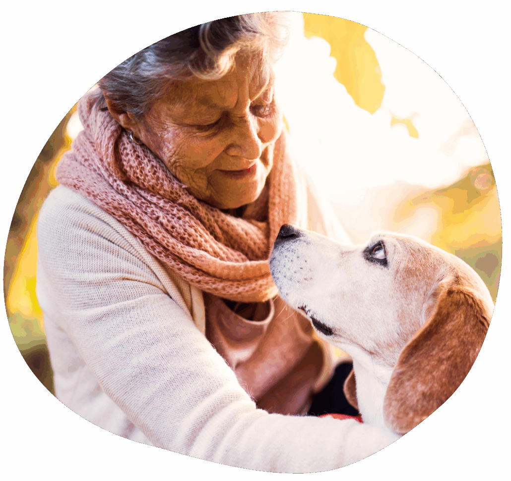 web updates 2000x1080 (4)